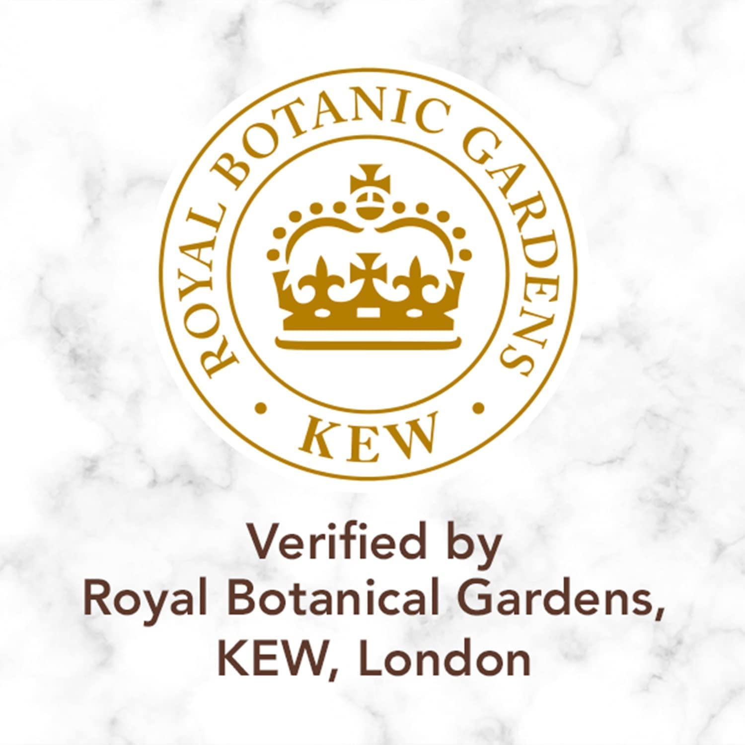 Herbal Essences bio:renew Coconut Milk SHAMPOO, 400ml, No Parabens No Colourants - Image 7