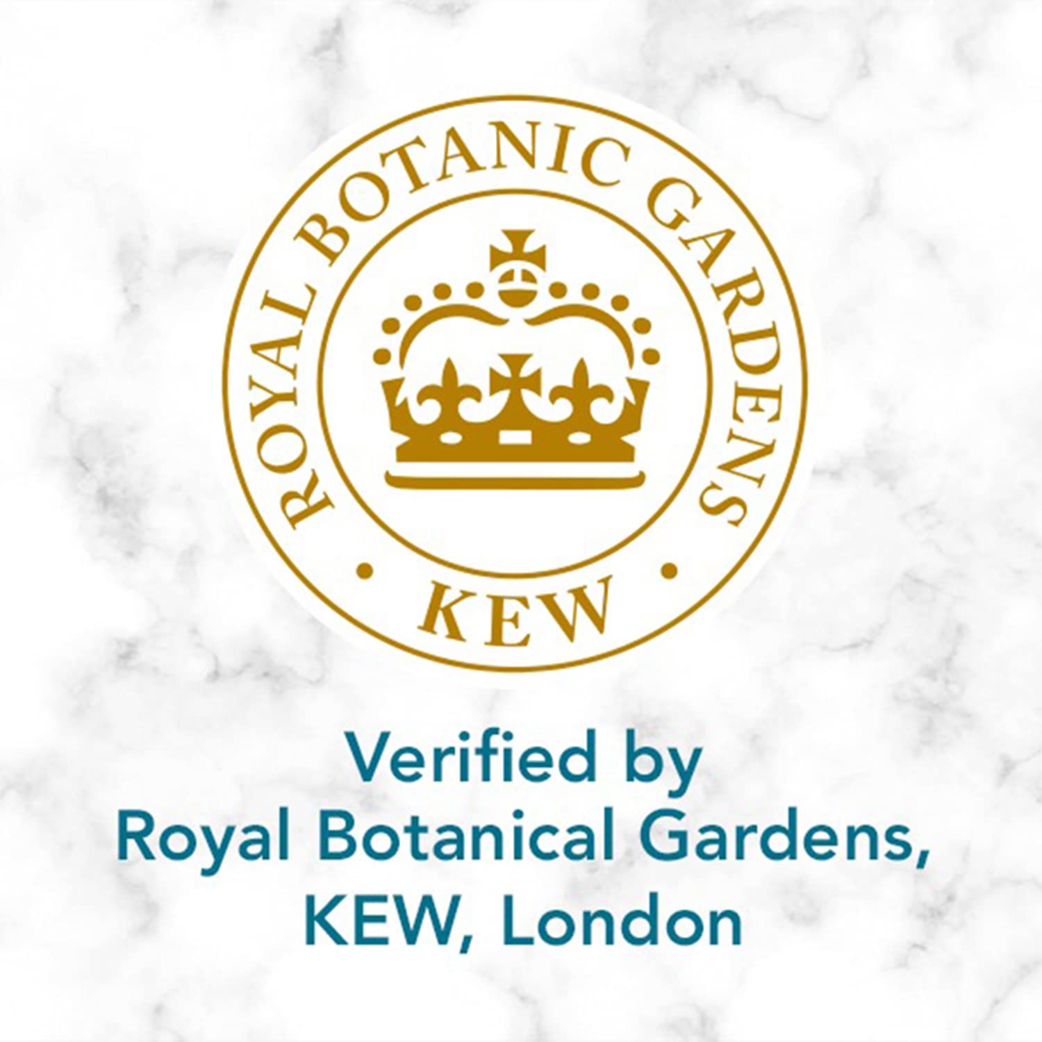 Herbal Essences bio:renew Argan Oil of Morocco CONDITIONER, 400ml | No Parabens No Colourants - Image 10