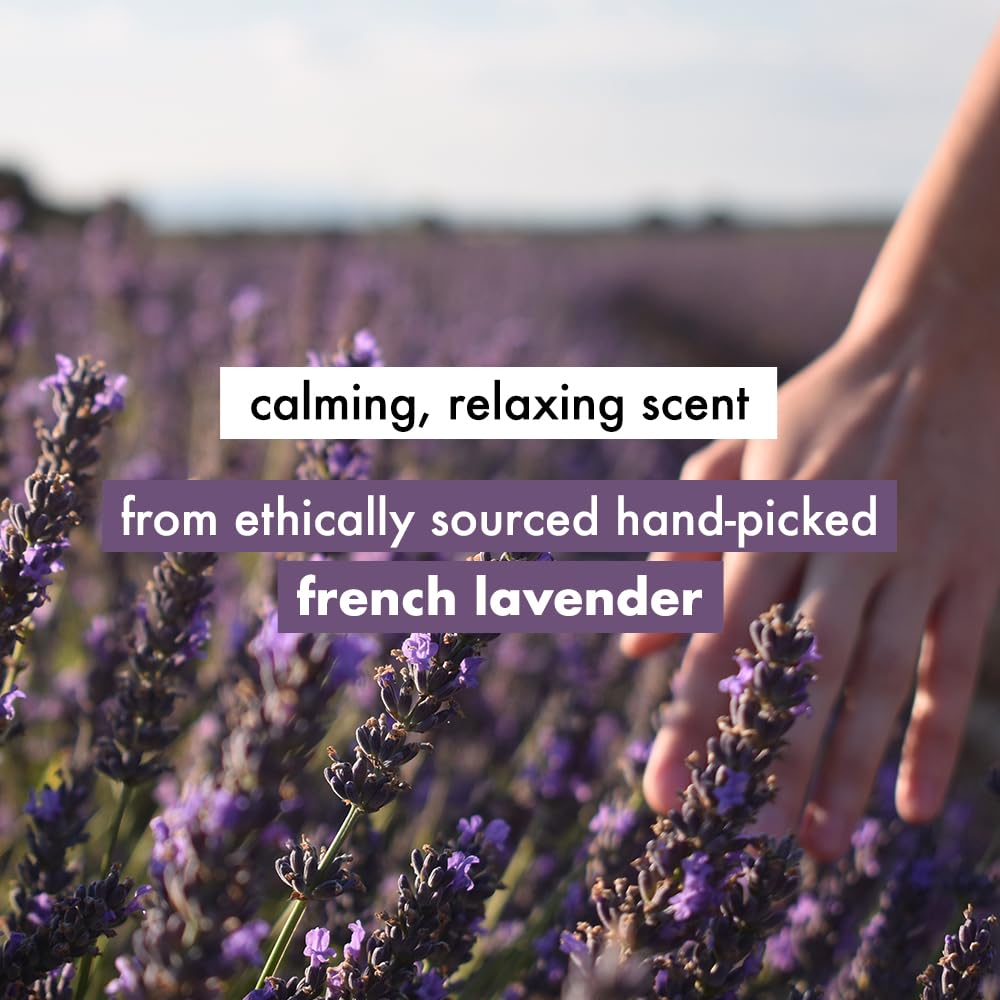 Love Beauty & Planet Argan Oil and Lavender Paraben Free Smooth and Serene Conditioner|| No Parabens|| No Dyes|| 400ml - Image 6