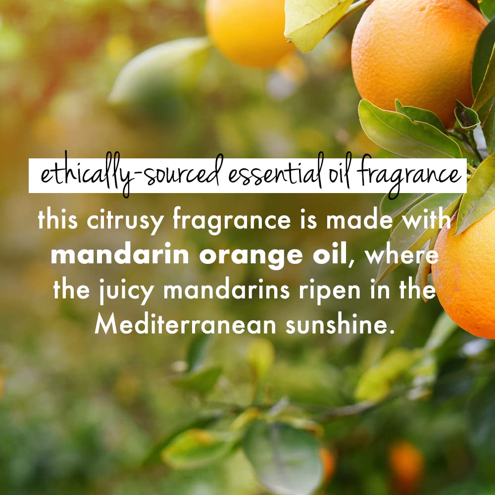 Love Beauty & Planet Curry Leaves|| Biotin & Mandarin Paraben & Sulfate Free Shampoo for long & strong hair|| 400ml - Image 5