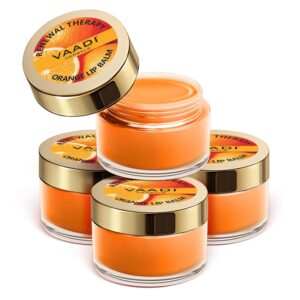Vaadi Herbals Lip Balm, Orange and Shea Butter, 10gms x 4
