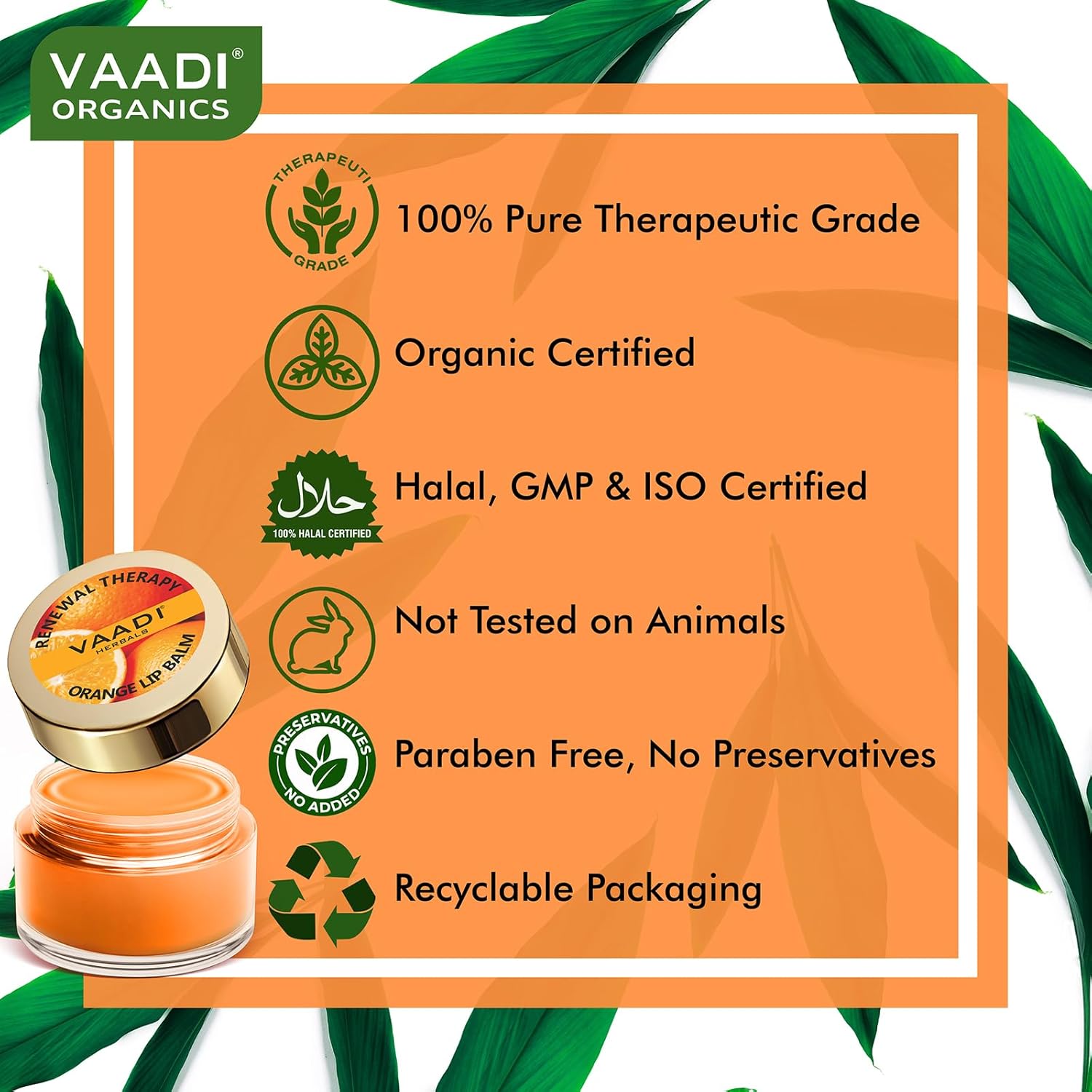 Vaadi Herbals Lip Balm, Orange and Shea Butter, 10gms x 4 - Image 5