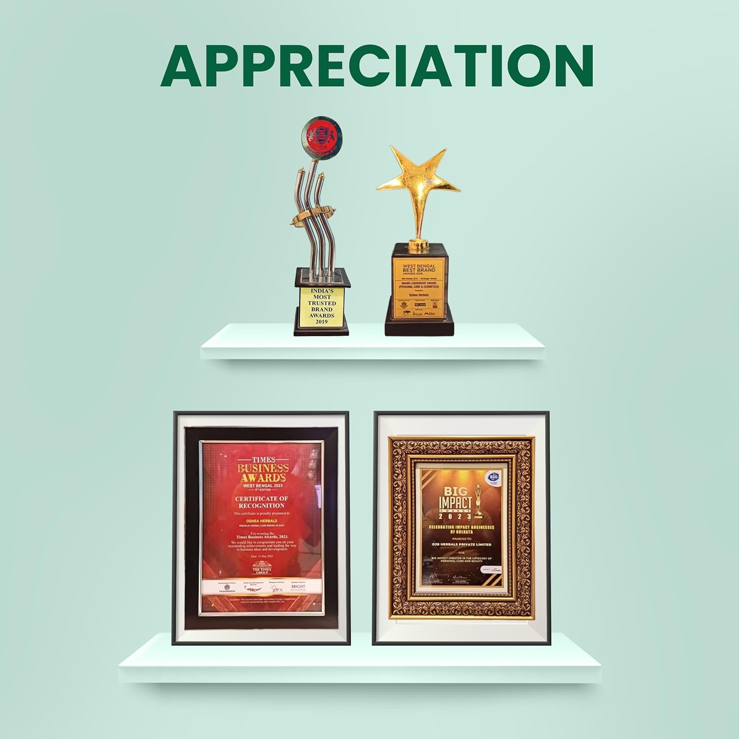 Oshea Herbals Phytogain Natural Non Sticky Hair Serum | For Instant Smooth, Shine, Tangle & Frizz Free Nourishing Hair Serum - 110 ml - Image 7