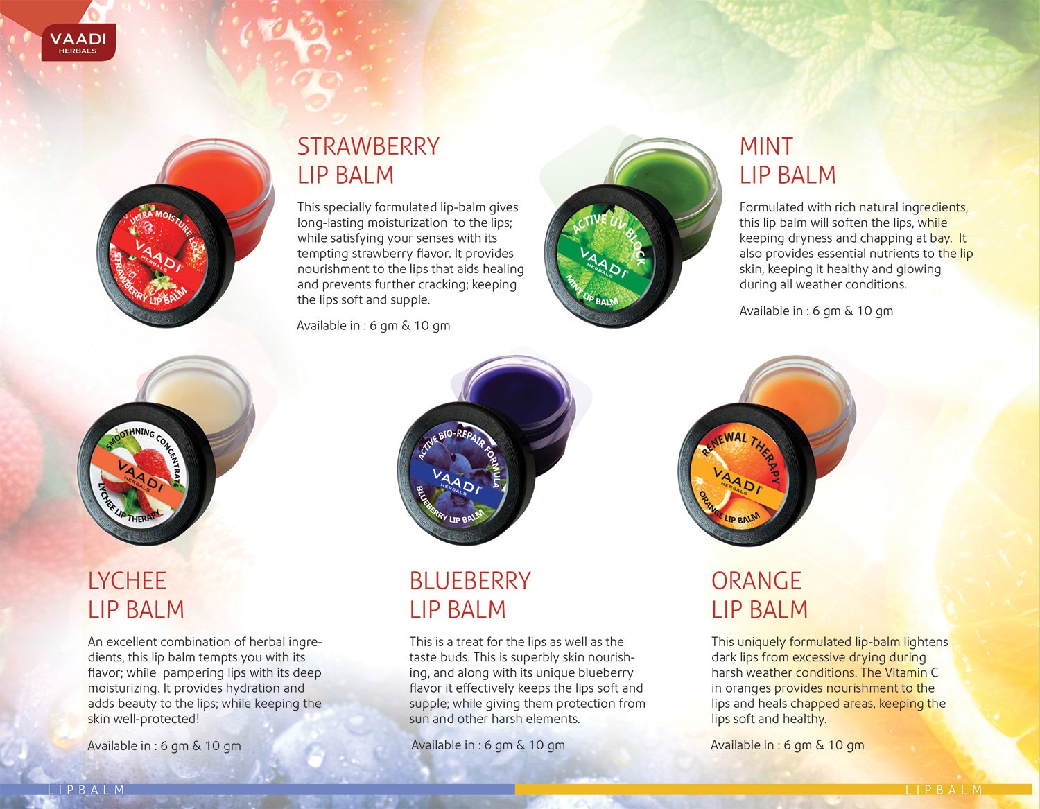 Vaadi Herbals Divine Shower Gel, Honey and Sandal, 300g (Pack of 2) - Image 15